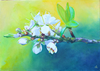 Blackthorn oil painting by Carole King
